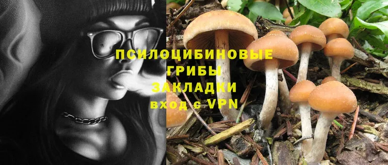 наркотики  Нариманов  Псилоцибиновые грибы MAGIC MUSHROOMS 